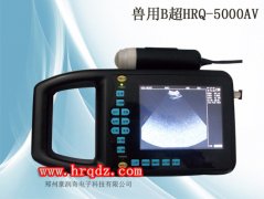 兽用B超测孕仪猪用妊娠检查设备